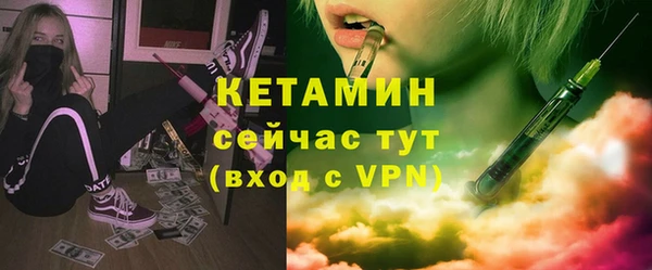 эйфоретик Гусь-Хрустальный