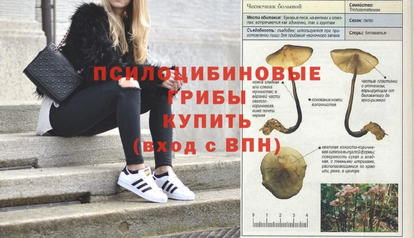 mix Гусиноозёрск