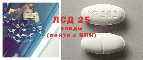 эйфоретик Гусь-Хрустальный