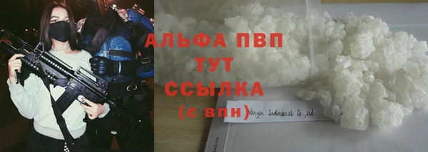 эйфоретик Гусь-Хрустальный