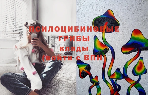 mix Гусиноозёрск