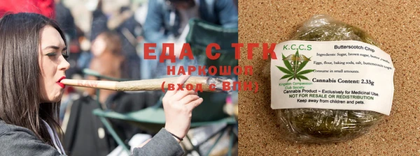 эйфоретик Гусь-Хрустальный