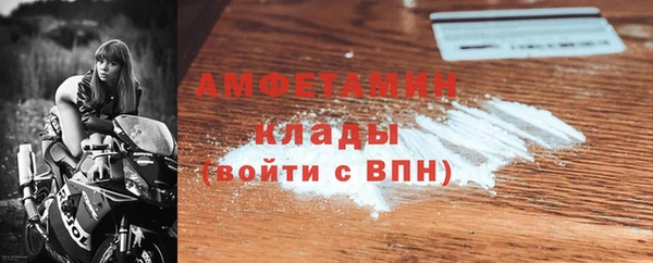 эйфоретик Гусь-Хрустальный