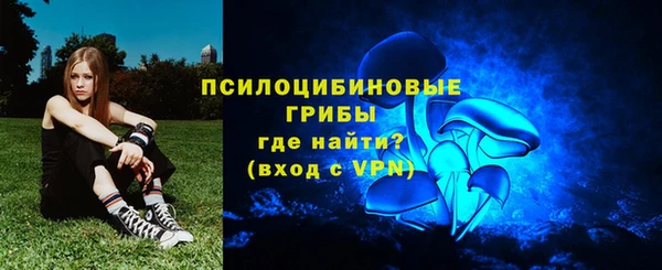 mix Гусиноозёрск