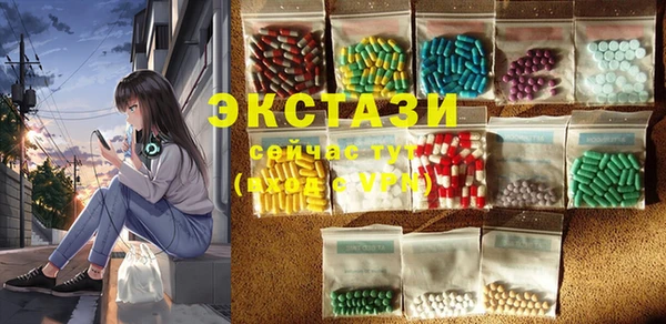 эйфоретик Гусь-Хрустальный